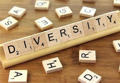 Diversity, Equity, Inclusion, and Accessibility